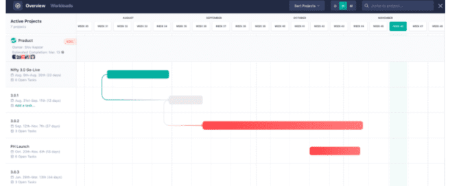 project milestones