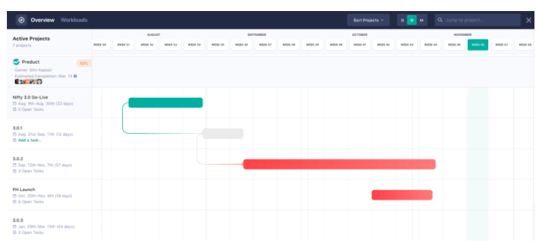 project milestones