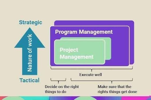 Program manager vs Project manager - Primary goals