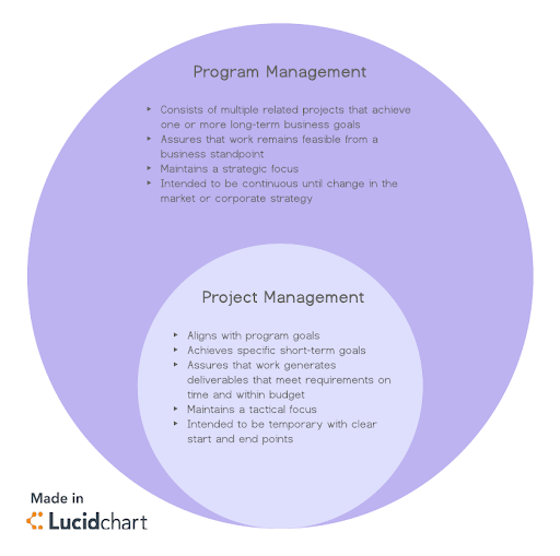roles and responsibilities of Project manager vs Program manager