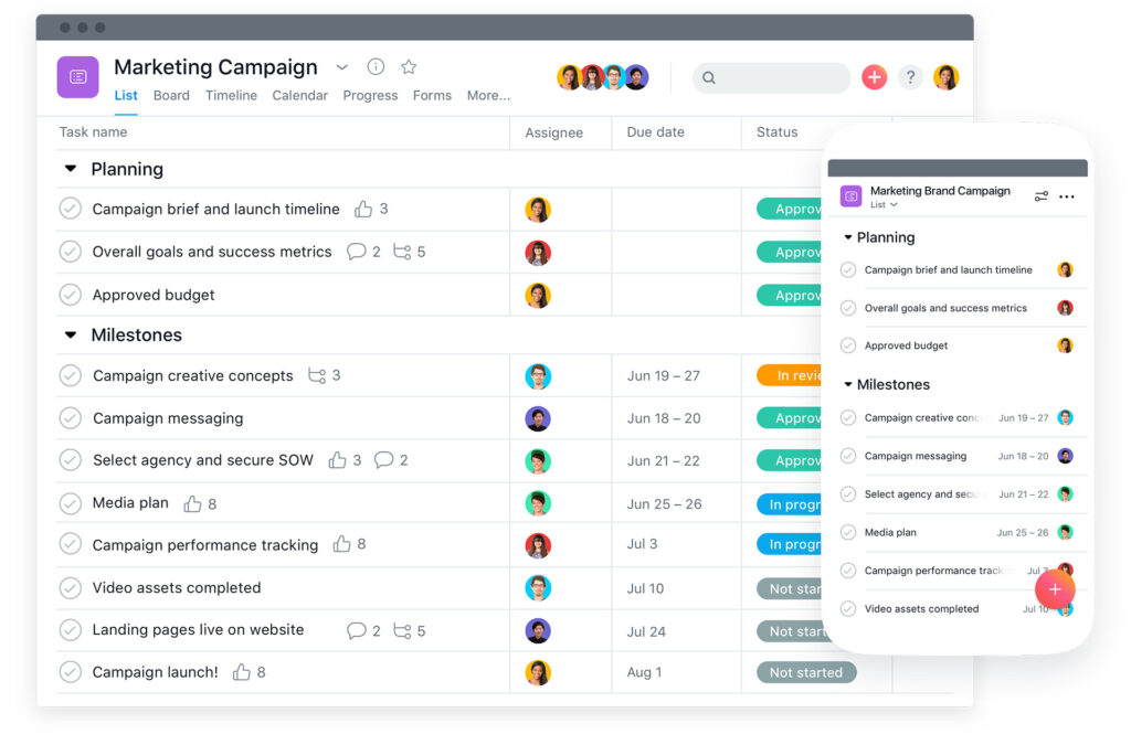 Asana - creative agency project management software